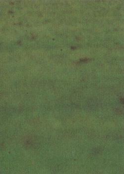 1977 Scanlens VFL #75 Neville Fields Back